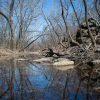 Toronto Lake at Cross Timbers State Park, Kansas
