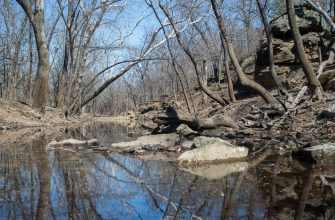 Toronto Lake at Cross Timbers State Park, Kansas