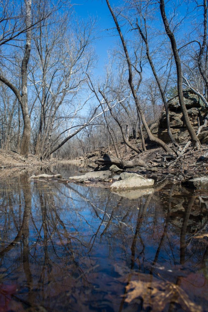 Toronto Lake at Cross Timbers State Park, Kansas